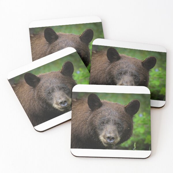 Item preview, Curious Black Bear designed and sold by TheBearsEye.