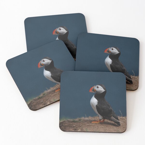 Item preview, Puffin on Skomer Island designed and sold by Neil Evans.