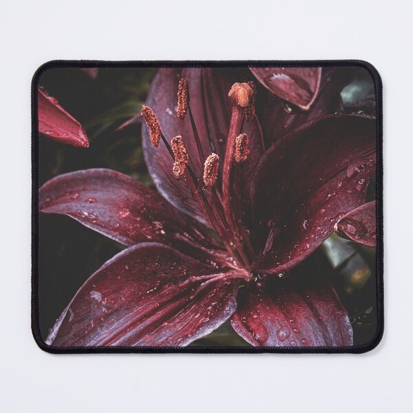 Item preview, Lilies designed and sold by Savage Arts.