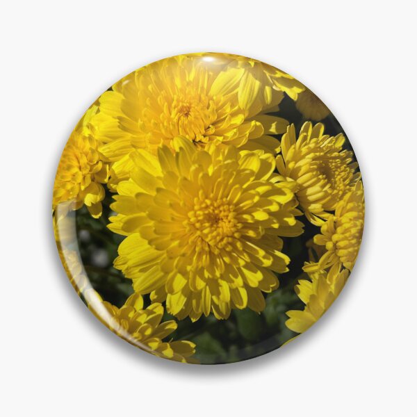 Artikelvorschau, Blumen aus der Innenstadt von Beaufort entworfen und verkauft von Marsh-Muse.