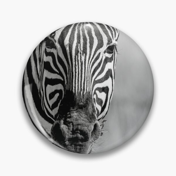 Item preview, Monochrome gaze, plains zebra portrait, Etosha Namibia designed and sold by DavideAntoniani.