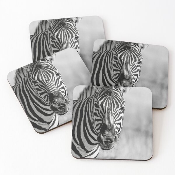 Item preview, Monochrome gaze, plains zebra portrait, Etosha Namibia designed and sold by DavideAntoniani.