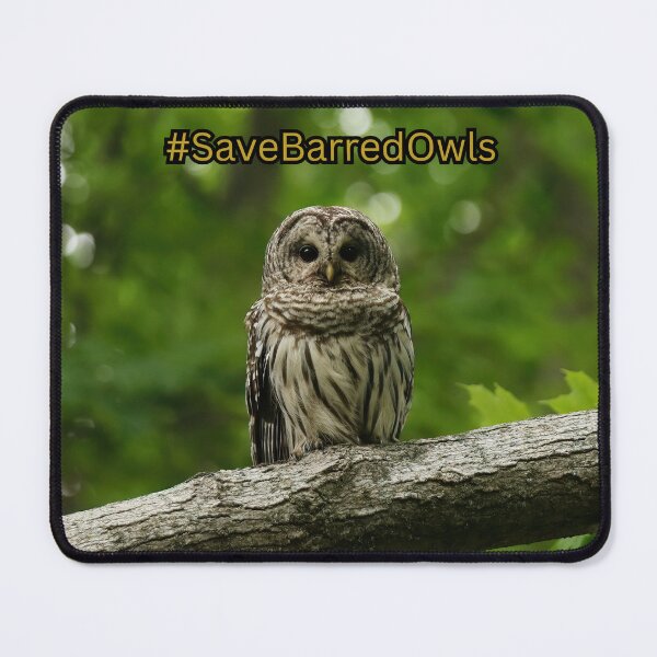 Item preview, SAVE BARRED OWLS designed and sold by locustgirl.