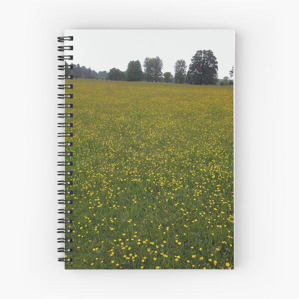 Item preview, Field of meadow cups and wild flowers designed and sold by Sweetimage.
