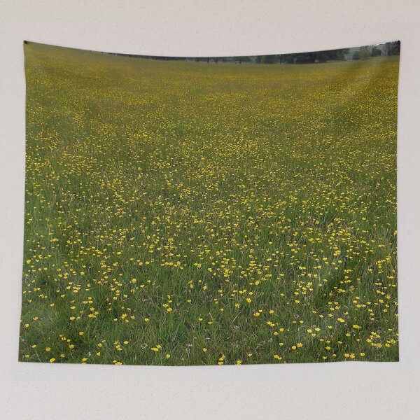 Item preview, Field of meadow cups and wild flowers designed and sold by Sweetimage.