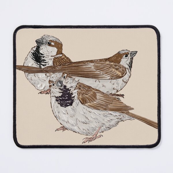 Item preview, Sparrow Fam designed and sold by DiogoS-SciArt.
