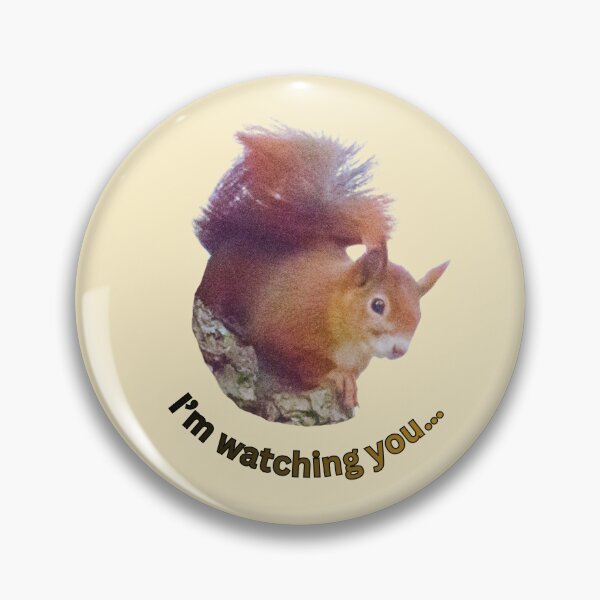 Item preview, Curious squirrel – “I’m watching you…” | Funny animal photo designed and sold by Katja LebenFreude.