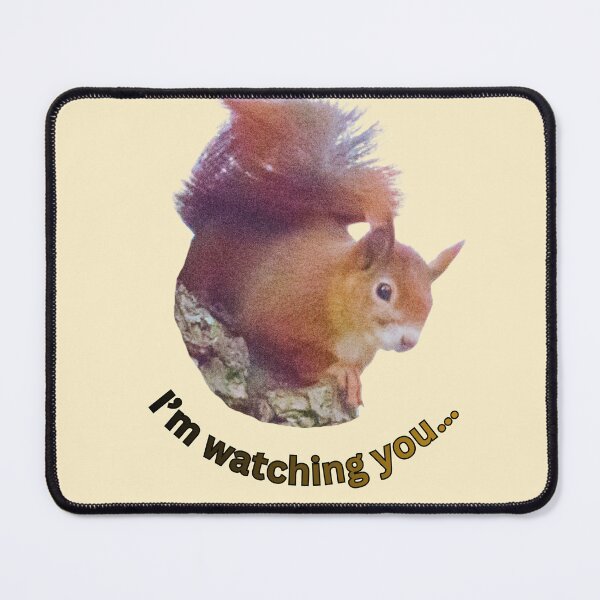 Item preview, Curious squirrel – “I’m watching you…” | Funny animal photo designed and sold by Katja LebenFreude.