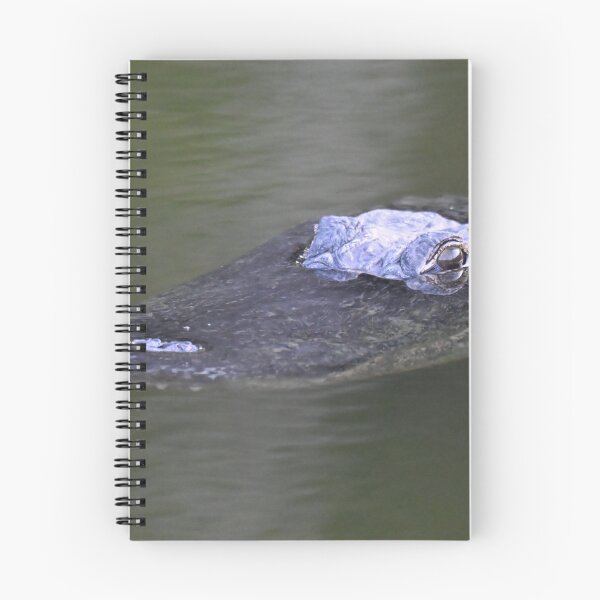 Item preview, Alligator up periscope  designed and sold by Glennphotos.