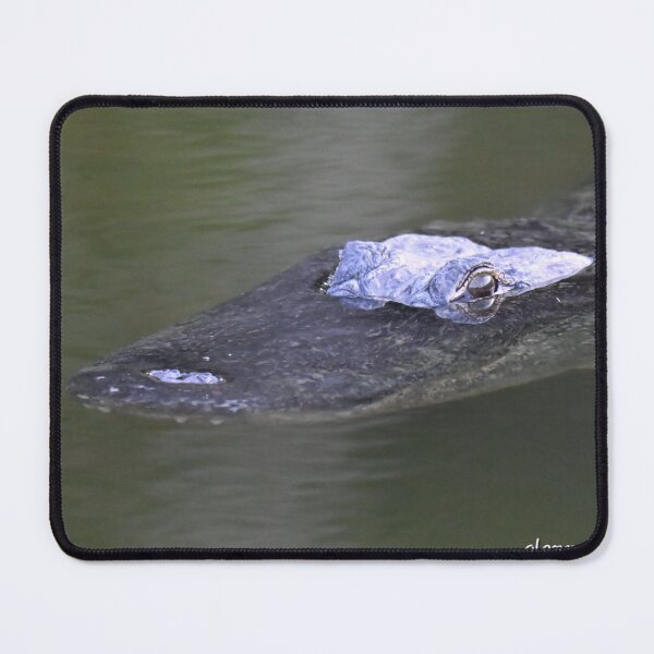 Item preview, Alligator up periscope  designed and sold by Glennphotos.