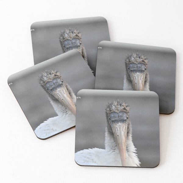 Item preview, Juvenile Wood Stork  designed and sold by Glennphotos.