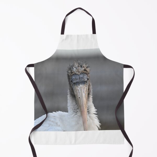 Item preview, Juvenile Wood Stork designed and sold by Glennphotos.