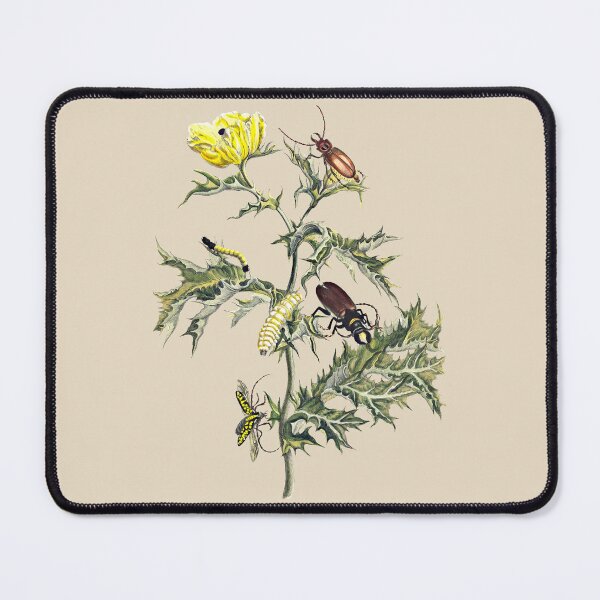 Item preview, Vintage Botanical Insect Study with Yellow Wildflower designed and sold by AzizamWorks.