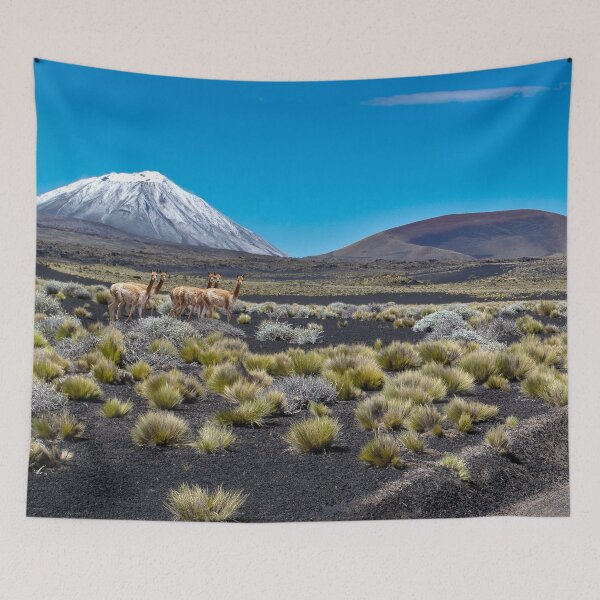 Item preview, Landscapes of Argentina designed and sold by maylizbeth.