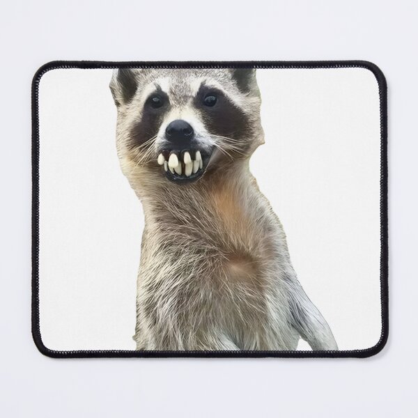Item preview, Humorous raccoon with large buck teeth designed and sold by Innercosmic.