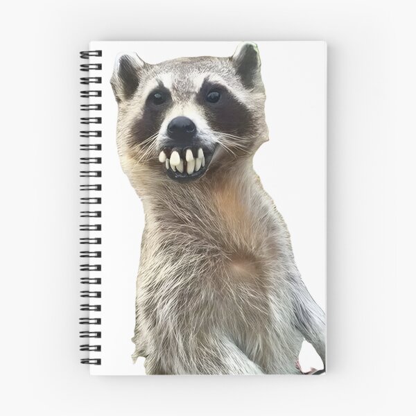 Item preview, Humorous raccoon with large buck teeth designed and sold by Innercosmic.