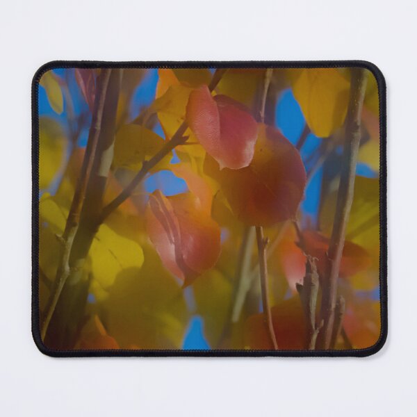 Item preview, Misty edit of fall leaves designed and sold by Cblifeisgood.