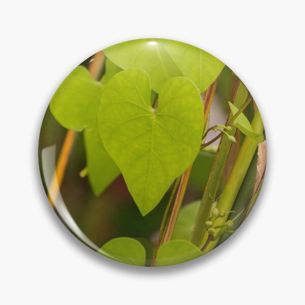 Item preview, Vibrant Heart-Shaped Leaves designed and sold by Debra Martz.
