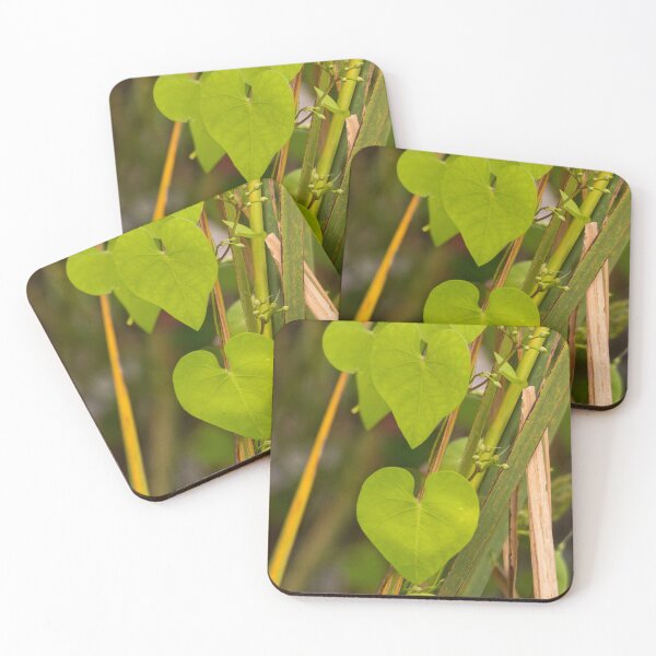 Item preview, Vibrant Heart-Shaped Leaves designed and sold by Debra Martz.