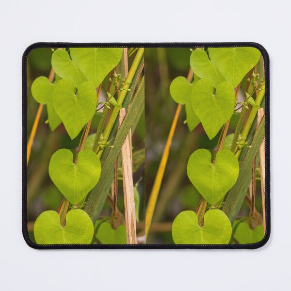 Item preview, Vibrant Heart-Shaped Leaves designed and sold by Debra Martz.