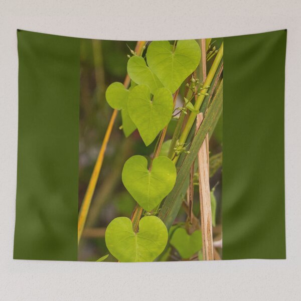 Item preview, Vibrant Heart-Shaped Leaves designed and sold by Debra Martz.