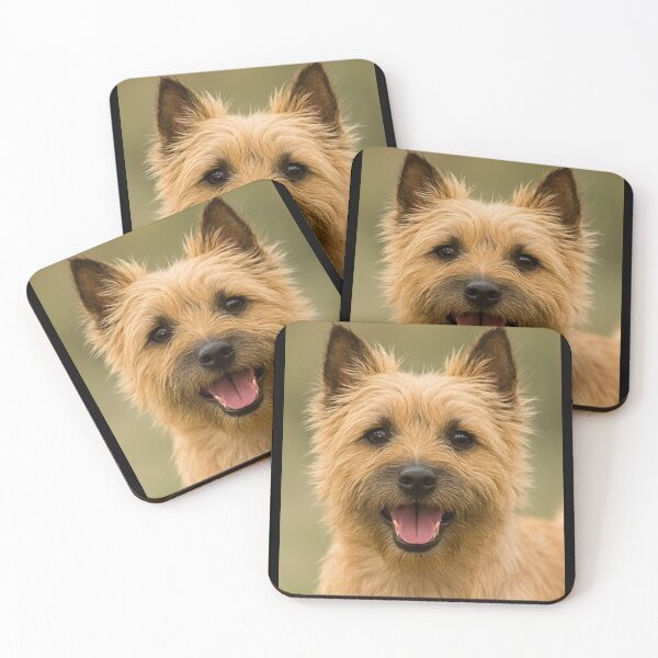 Item preview, Cairn Terrier Dog Toto designed and sold by BackgroundND.