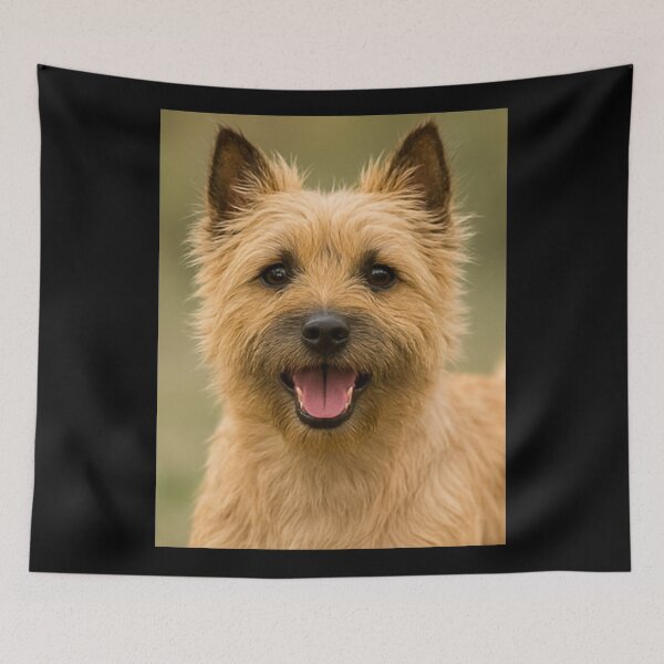 Item preview, Cairn Terrier Dog Toto designed and sold by BackgroundND.