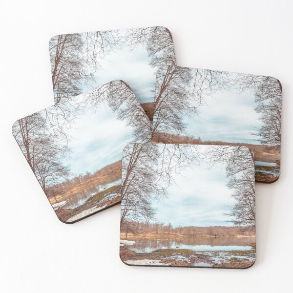 Item preview, Bare Deciduous Trees Frame a Forest Lake on a Cold Day with Melting Snow and Muddy Shores. designed and sold by MDB_Shop.