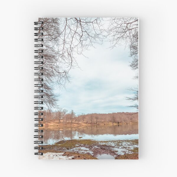 Item preview, Bare Deciduous Trees Frame a Forest Lake on a Cold Day with Melting Snow and Muddy Shores. designed and sold by MDB_Shop.