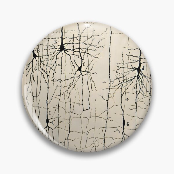 Item preview, Santiago Ramon y Cajal - Microscopic Structure of the Brain Nerve Cells Drawing 1904  designed and sold by Jon-Baran.
