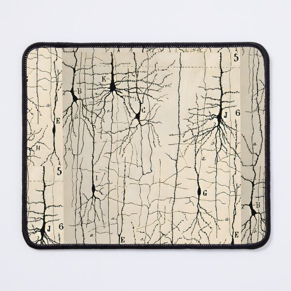 Item preview, Santiago Ramon y Cajal - Microscopic Structure of the Brain Nerve Cells Drawing 1904  designed and sold by Jon-Baran.