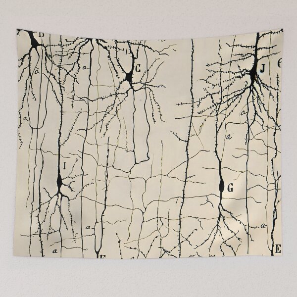 Item preview, Santiago Ramon y Cajal - Microscopic Structure of the Brain Nerve Cells Drawing 1904  designed and sold by Jon-Baran.