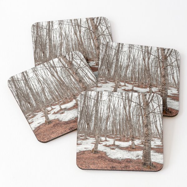Item preview, Bare trees in a dense forest with melting snow patches and fallen brown leaves on the ground. designed and sold by MDB_Shop.