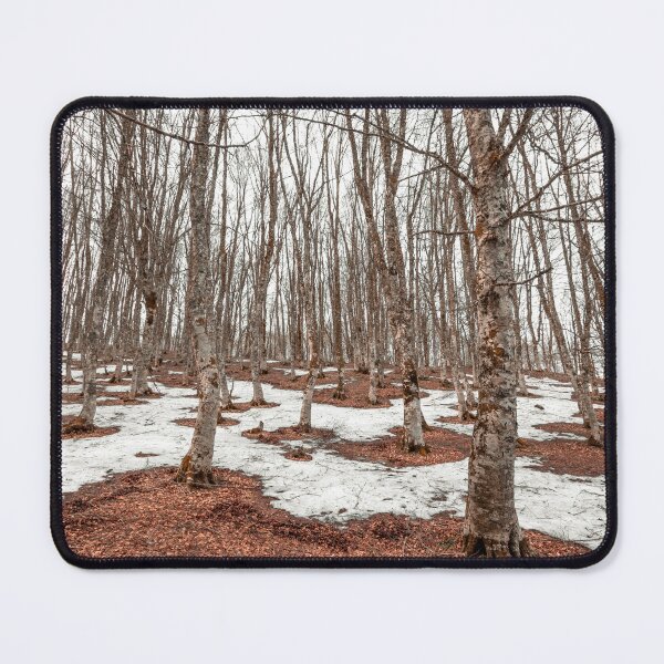 Item preview, Bare trees in a dense forest with melting snow patches and fallen brown leaves on the ground. designed and sold by MDB_Shop.