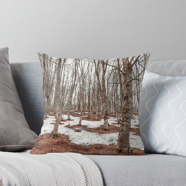 Item preview, Bare trees in a dense forest with melting snow patches and fallen brown leaves on the ground. designed and sold by MDB_Shop.