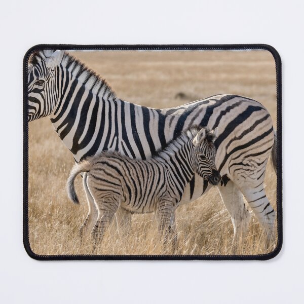 Item preview, Plains Zebra Mother With Foal In Golden Grass Etosha designed and sold by DavideAntoniani.