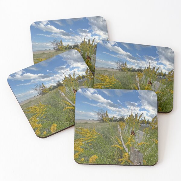 Item preview, Butterfly of Chicago Beach, Bikepath, Cityscape designed and sold by vasi imagery.