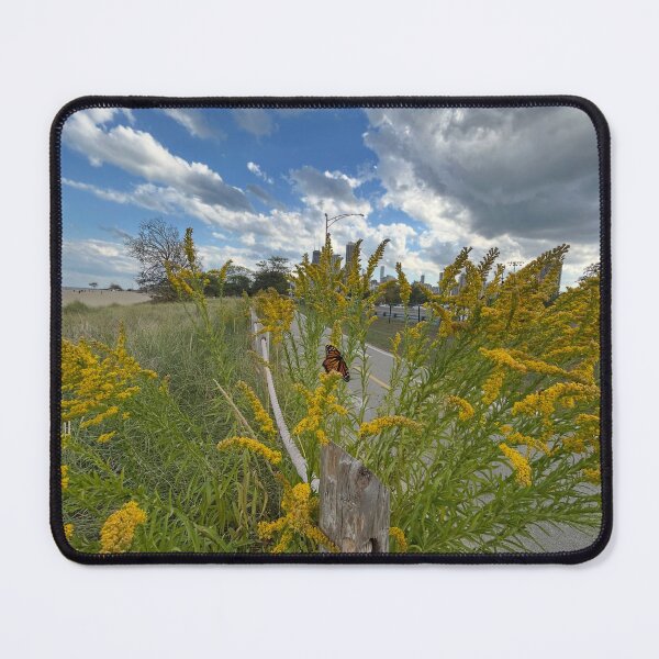 Item preview, Butterfly of Chicago Beach, Bikepath, Cityscape designed and sold by vasi imagery.