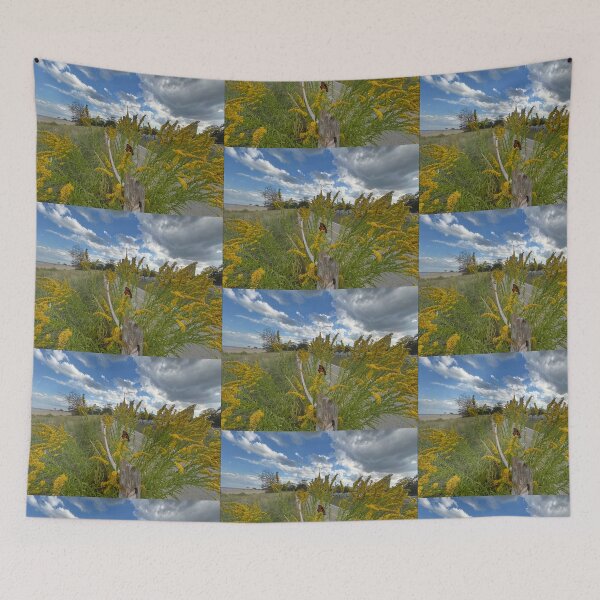 Item preview, Butterfly of Chicago Beach, Bikepath, Cityscape designed and sold by vasi imagery.