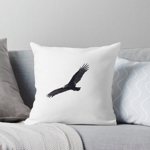 Item preview, Isolated Turkey Vulture 10-16-24-5 designed and sold by Thomasyoung.