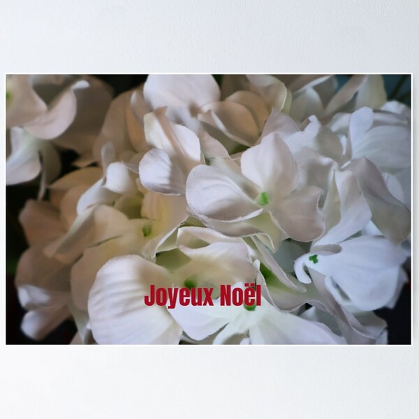 Item preview, White Flowers Merry Christmas - french designed and sold by kenkortner.