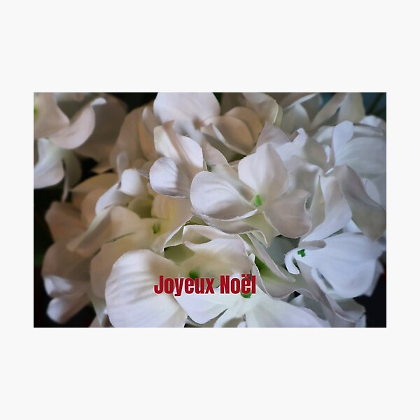 Item preview, White Flowers Merry Christmas - french designed and sold by kenkortner.
