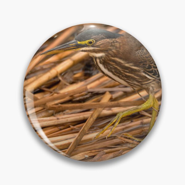 Item preview, Heron Stalking Amidst Reeds designed and sold by Debra Martz.