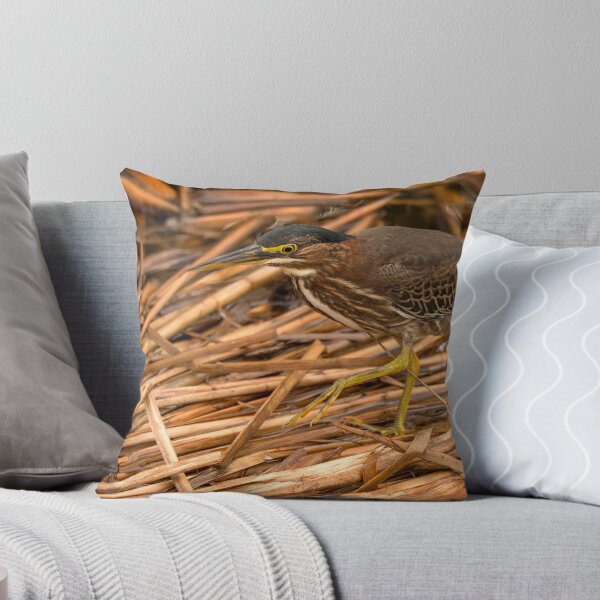 Item preview, Heron Stalking Amidst Reeds designed and sold by Debra Martz.