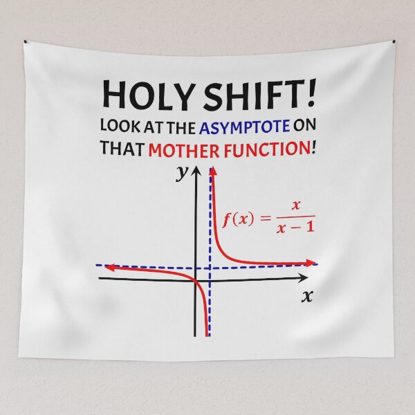 Item preview, Funny Nerdy Holy Shift Look at the Asymptote on that Mother Function Math Teacher Black Text designed and sold by MathWare MathClips.