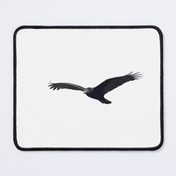 Item preview, Isolated Turkey Vulture 10-16-24-7 designed and sold by Thomasyoung.