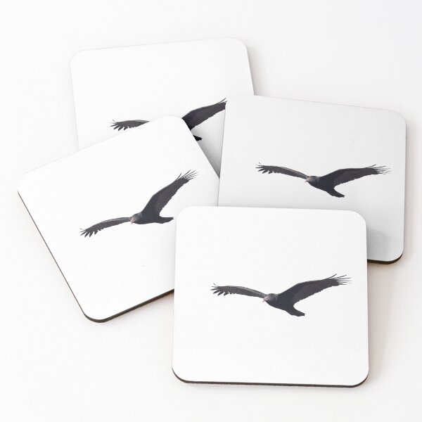 Item preview, Isolated Turkey Vulture 10-16-24-7 designed and sold by Thomasyoung.