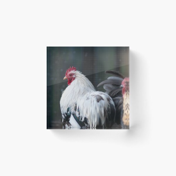 Item preview, Rooster  designed and sold by Hallswood.