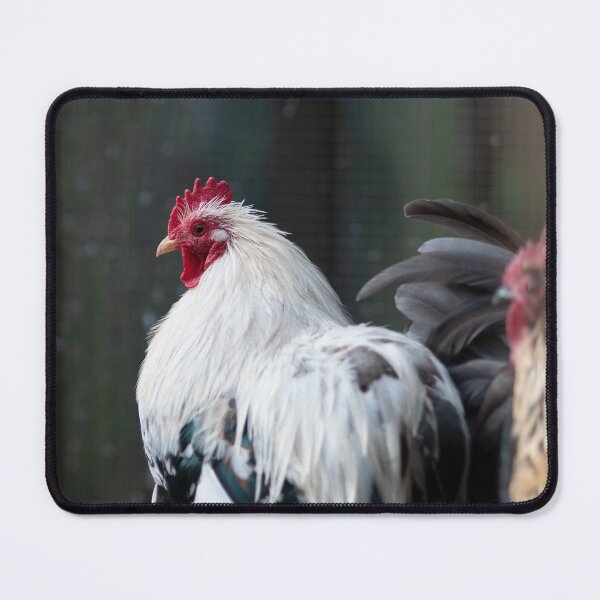 Item preview, Rooster designed and sold by Hallswood.