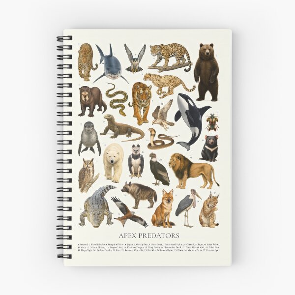 Item preview, Apex Predators Retro Carnivore Illustration Chart designed and sold by kakarikihill.